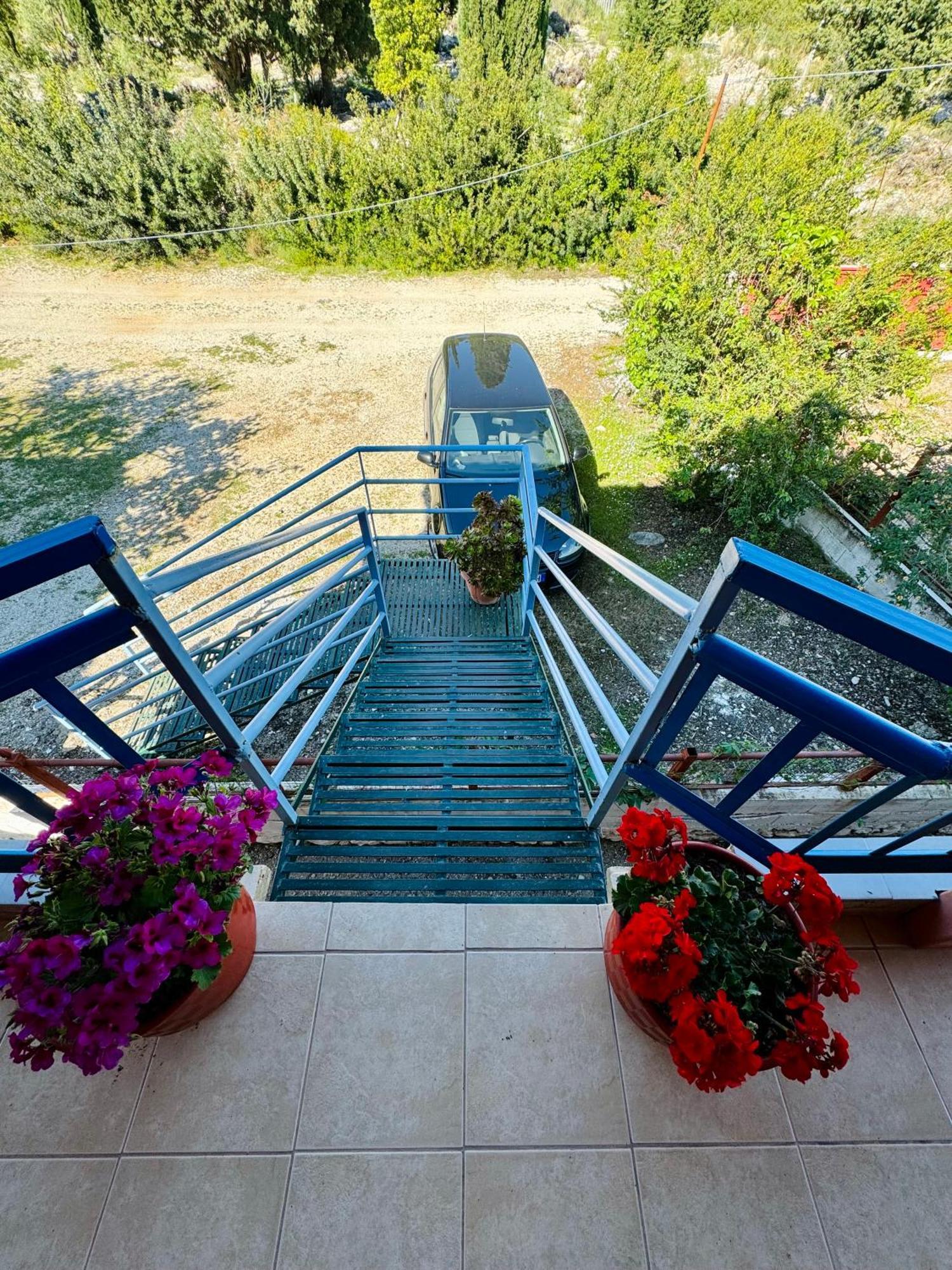 Guesthouse Rondo هيماري المظهر الخارجي الصورة